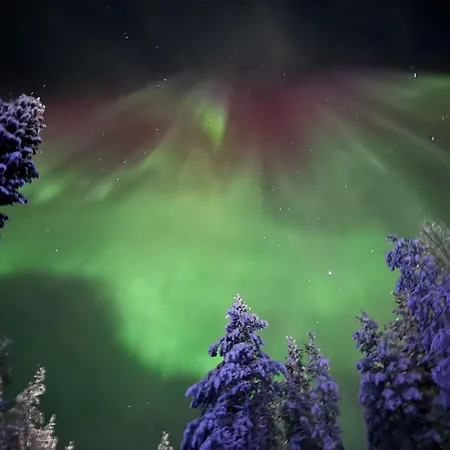 Rudolph'S Little Hideway Chalé *