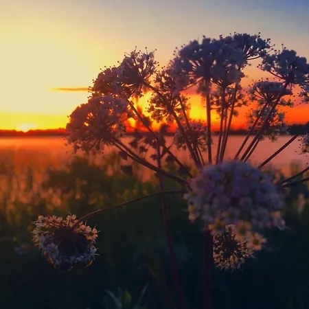 Rudolph'S Little Hideway *