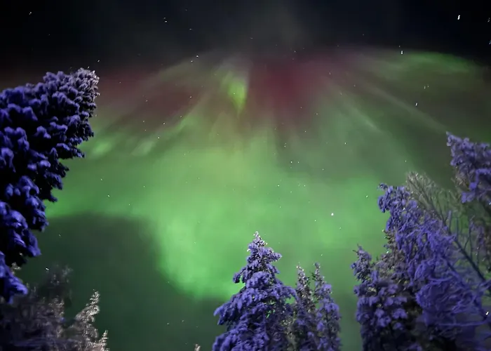 Rudolph'S Little Hideway Chalé *