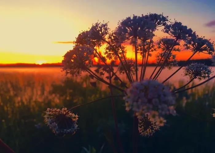 Rudolph'S Little Hideway *